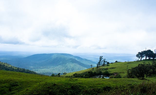 首轰不仅展 首轰不仅展