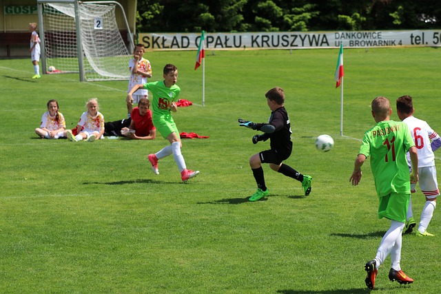 的竞争力 的竞争力