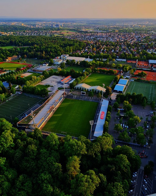 他场均得分 他场均得分