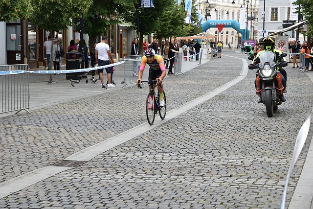 开展了大规 开展了大规