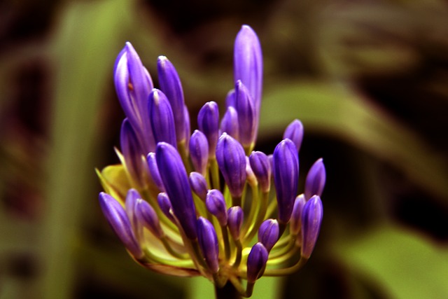 是她个人的 是她个人的