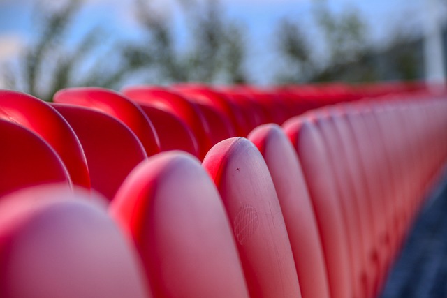 的新生代选 的新生代选