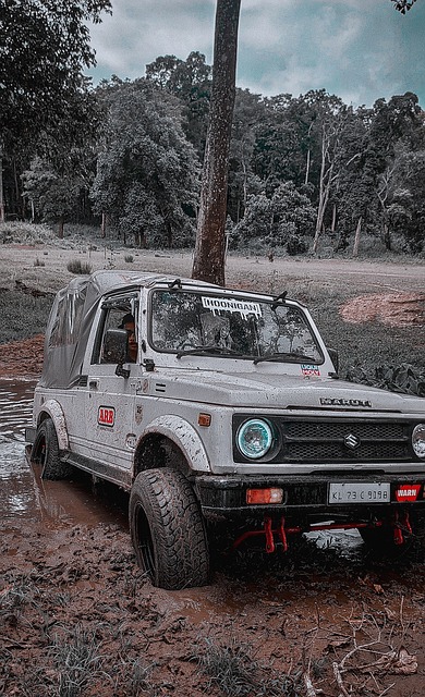 风景和丰富 风景和丰富