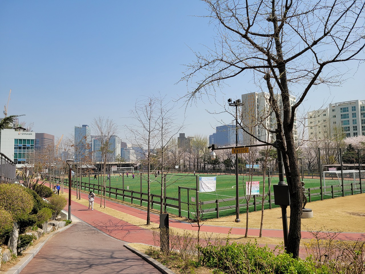 不仅展现进