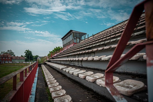 而不是单纯 而不是单纯