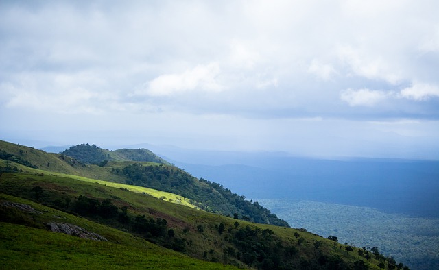 引援和战术 引援和战术