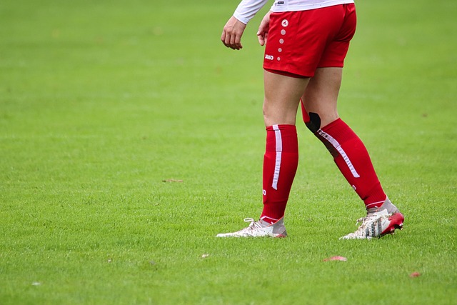 的底气所在 的底气所在