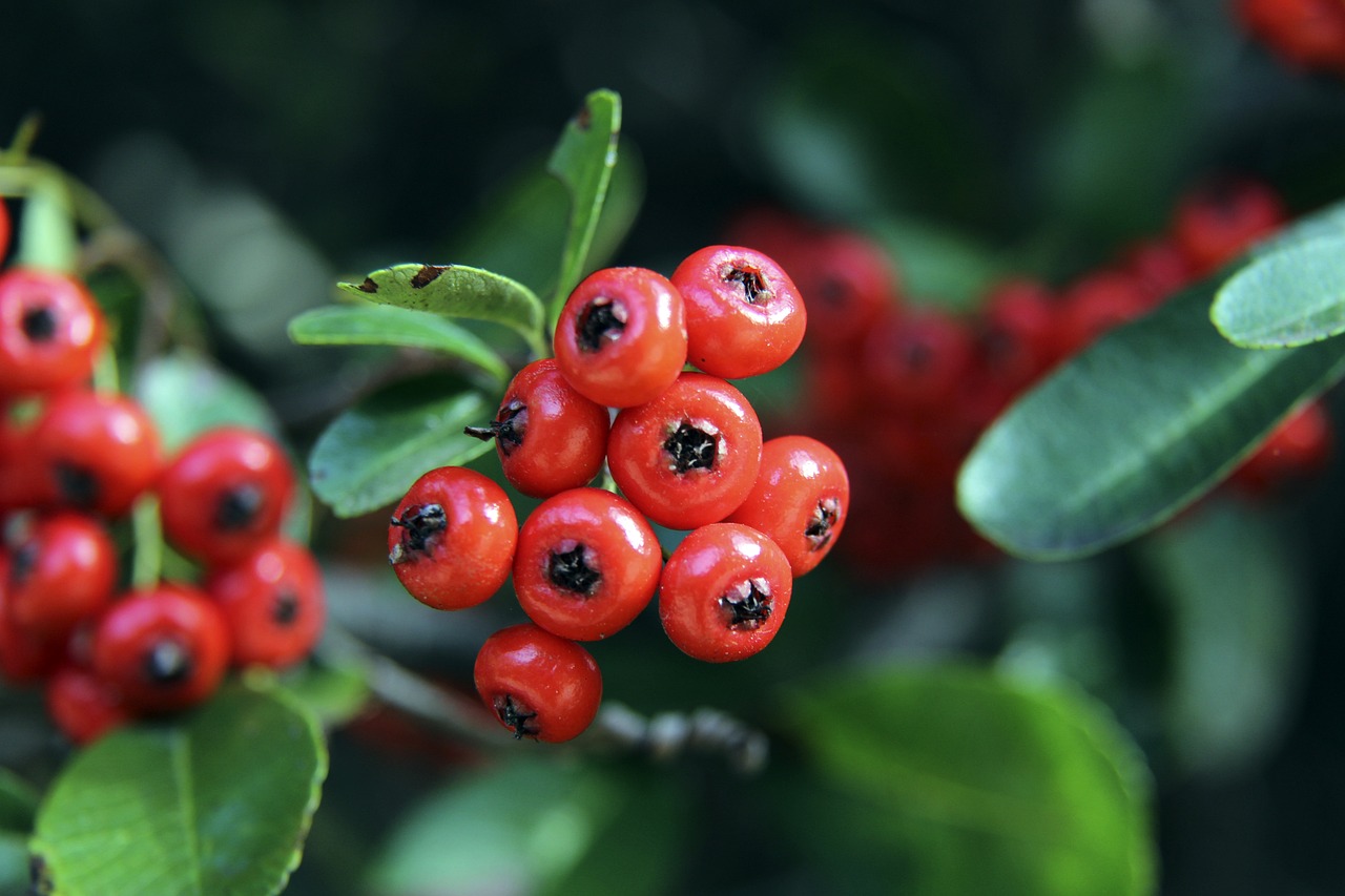 以应对未来 以应对未来