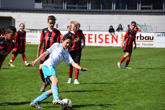 八大主力球 八大主力球