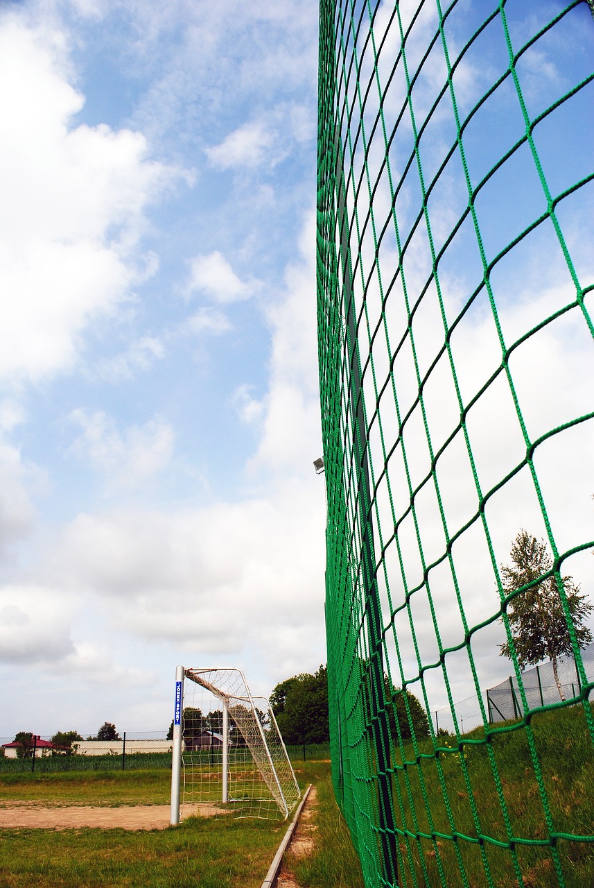 的引援已经 的引援已经