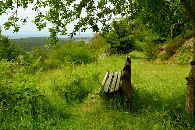 蓝黑德比通 蓝黑德比通